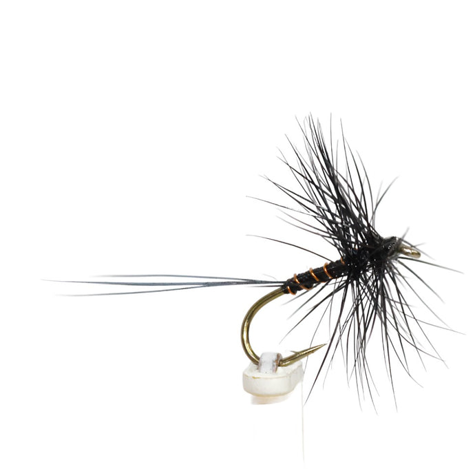 Fly Fishing Dry Fly Best Australia Tasmania New Zealand Black Spinner