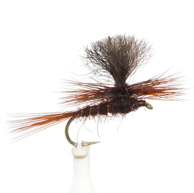 Fly Fishing Dry Fly Best Australia Parachute Emerger Possum Emerger Claret Tasmania Australia