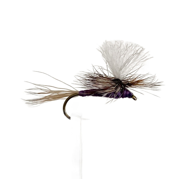 Fly Fishing Dry Fly Best Australia Parachute Purple Haze Tasmania New Zealand