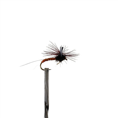 Fly Fishing Dry Fly Best Australia Orange Spent Spinner Tasmania New Zealand Barbed and Barbless