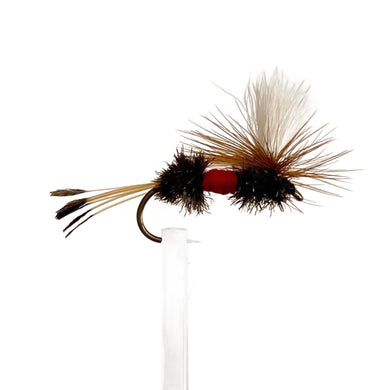 Fly Fishing Dry Fly Best Australia Parachute Royal Coachman Australia Tasmania New Zealand