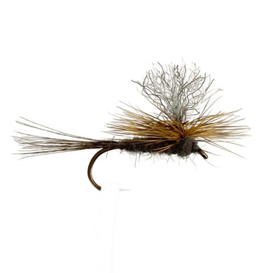 Fly Fishing Dry Fly Best Australia Aussie Adams Mick Hall Australia Tasmania New Zealand