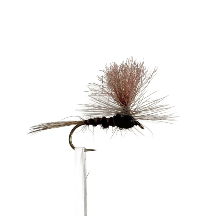 Fly Fishing Dry Fly Best Australia Parachute Penstock Brown Mick Hall Tasmania New Zealand