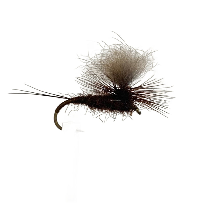 Fly Fishing Dry Fly Best Australia New Zealand Tasmania Doogun Dun Rust