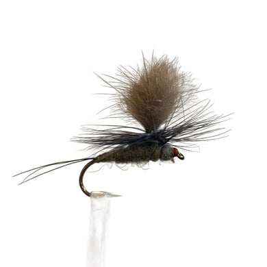 Fly Fishing Dry Fly Best Australia Tasmania New Zealand Light Doogun Dun Grey parachute