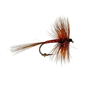 Orange Spinner dry Fly Best Pattern Australia New Zealand Tasmania