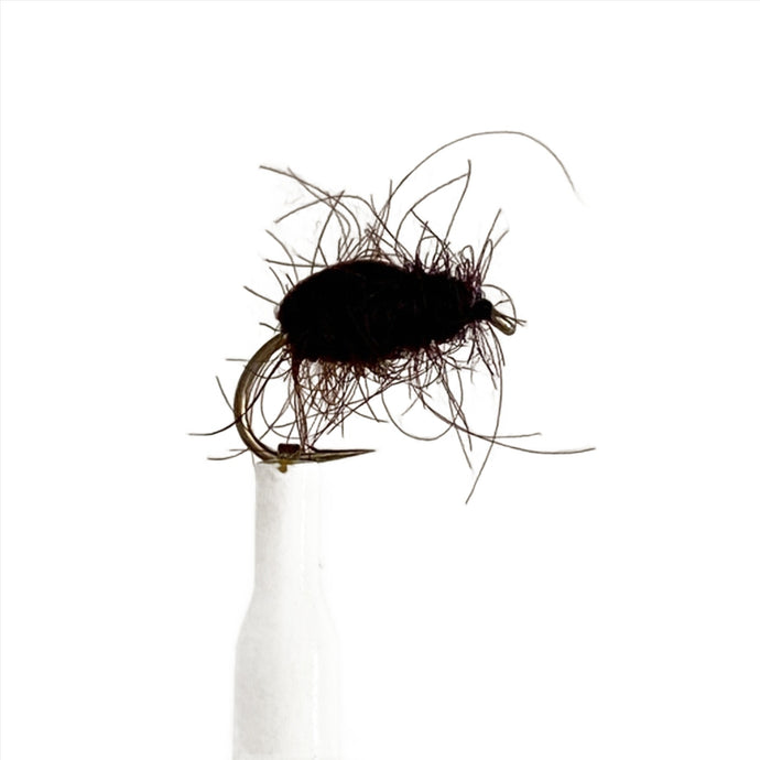 Fly Fishing Dry Fly Best Pattern Australia New Zealand Tasmania Fiery Brown Beetle