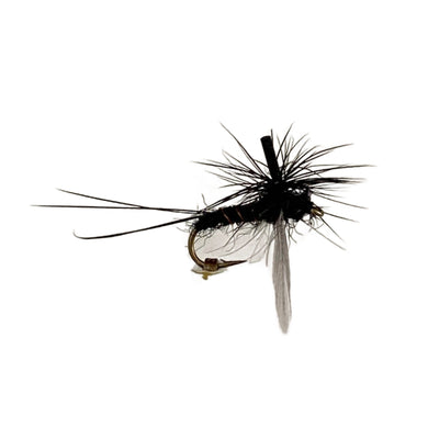 Fly Fishing Dry Fly Best Australia Black Spent Spinner Guide New Zealand Tasmania