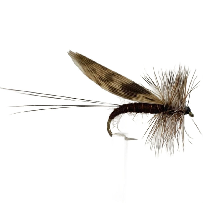 Fly Fishing Dry Fly Best Australia New Zealand Tasmania Highland Dun