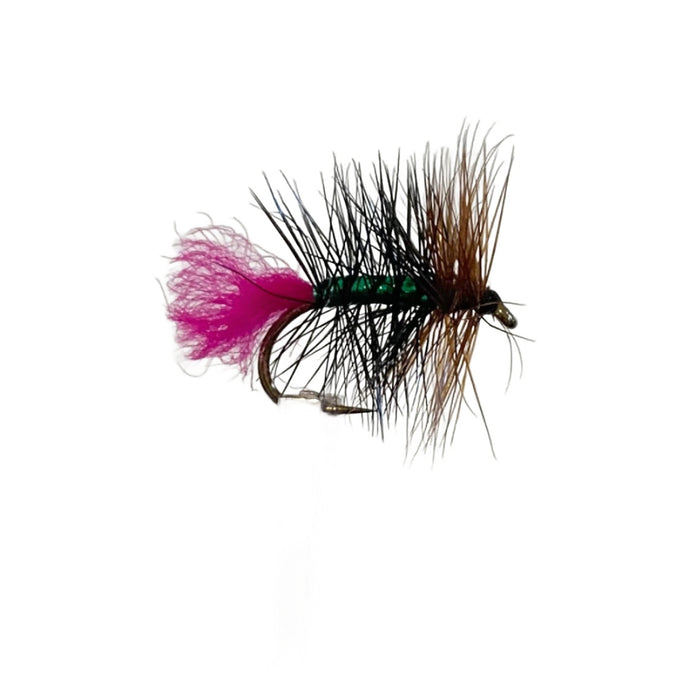 Fly Fishing Dry Fly Best Australia New Zealand Tasmania Guides Tag