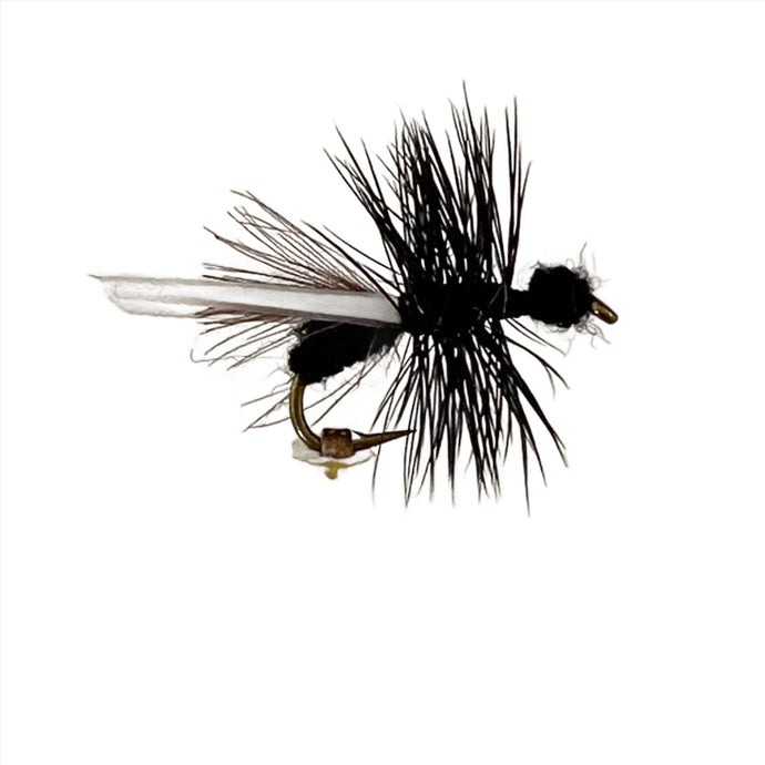 Fly Fishing Dry Fly Best Pattern Black Flying Ant Australia New Zealand Tasmania