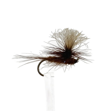 Fly Fishing Dry Fly Best Australia New Zealand Tasmania rusty tailrace dun parachute