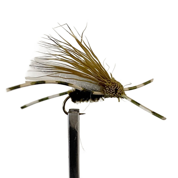 Fly Fishing Dry Fly Best Australia Tasmania New Zealand X Cicada Olive