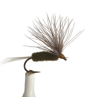 Fly Fishing Dry FLy Best Pattern Australia New Zealand Tasmania Olive CDC Caddis