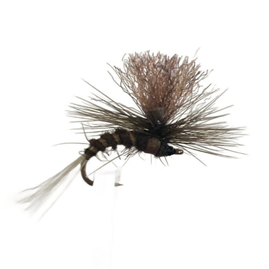 Fly Fishing Dry Fly Best Australia New Zealand Tasmania penstock brown compressed parachute dun