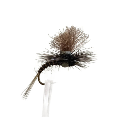 Fly Fishing Dry Fly Best Australia New Zealand Tasmania Dun Highland Dark 