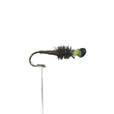 Fly Fishing Dry Fly Best Australia New Zealand Tasmania Nymph Unweighted peeping stick caddis