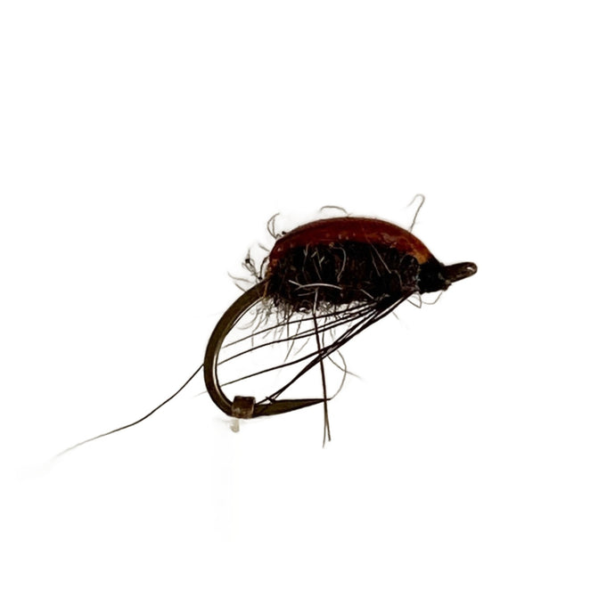 Fly Fishing Dry Fly Best Pattern Australia New Zealand Tasmania Brown Water Beetle