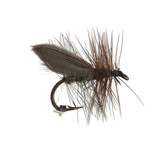 Fly Fishing Dry FLy Best Pattern Australia New Zealand Tasmania caddis Henryville Special